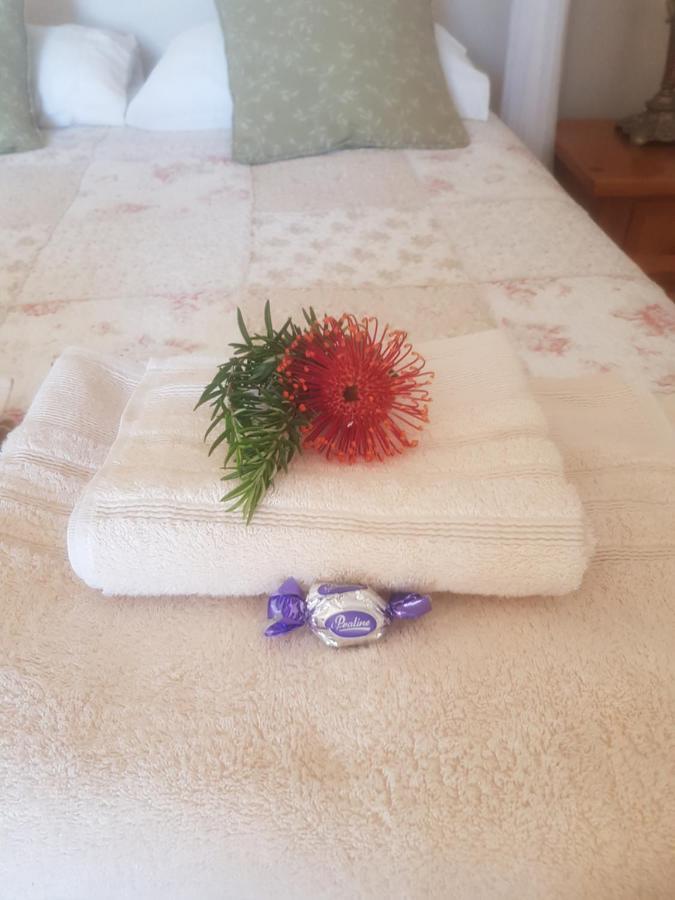 Papillon Guest Suite Simonʼs Town Εξωτερικό φωτογραφία