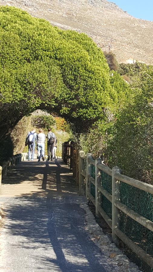 Papillon Guest Suite Simonʼs Town Εξωτερικό φωτογραφία